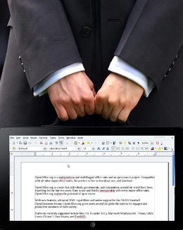 2011-02-15-wide-screen-handle